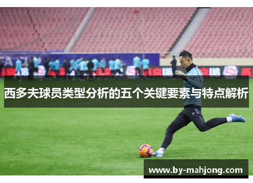 西多夫球员类型分析的五个关键要素与特点解析