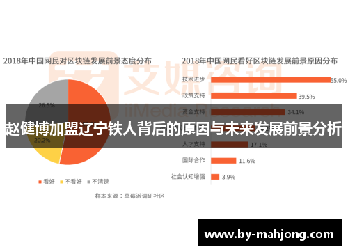 赵健博加盟辽宁铁人背后的原因与未来发展前景分析