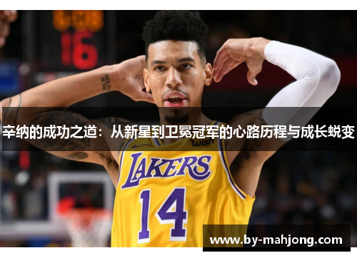 辛纳的成功之道：从新星到卫冕冠军的心路历程与成长蜕变