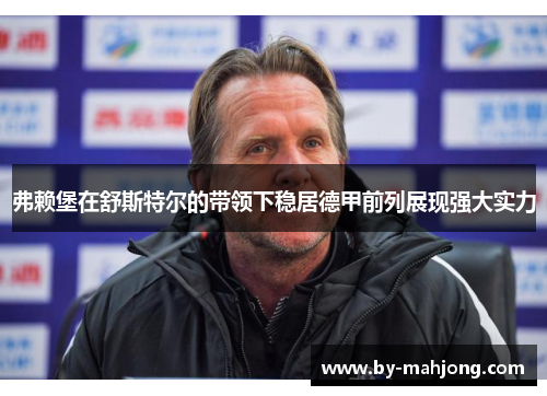 弗赖堡在舒斯特尔的带领下稳居德甲前列展现强大实力 弗赖堡在舒斯特尔的带领下稳居德甲前列展现强大实力