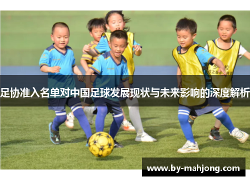 足协准入名单对中国足球发展现状与未来影响的深度解析