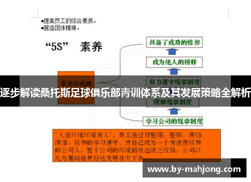 逐步解读桑托斯足球俱乐部青训体系及其发展策略全解析