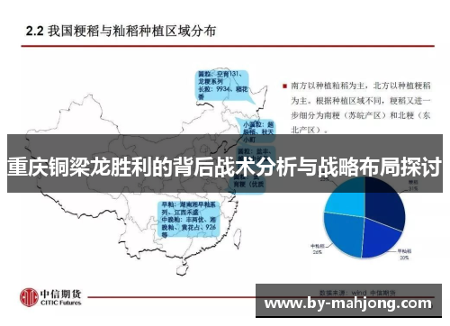 重庆铜梁龙胜利的背后战术分析与战略布局探讨