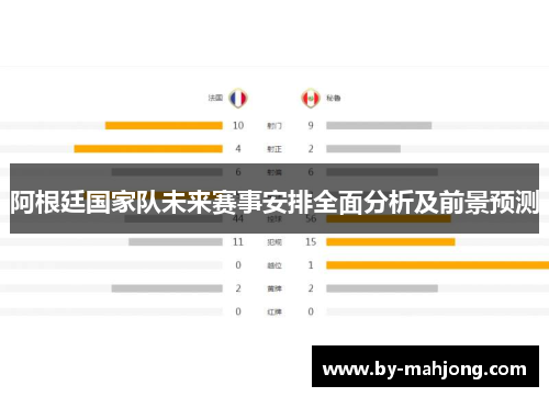 阿根廷国家队未来赛事安排全面分析及前景预测